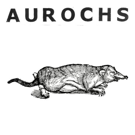 Aurochs