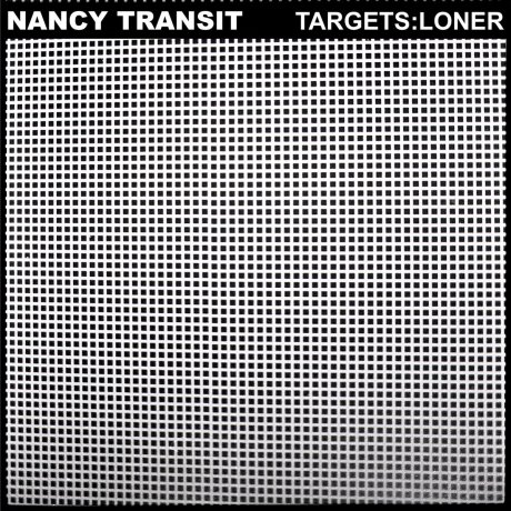 Nancy Transit